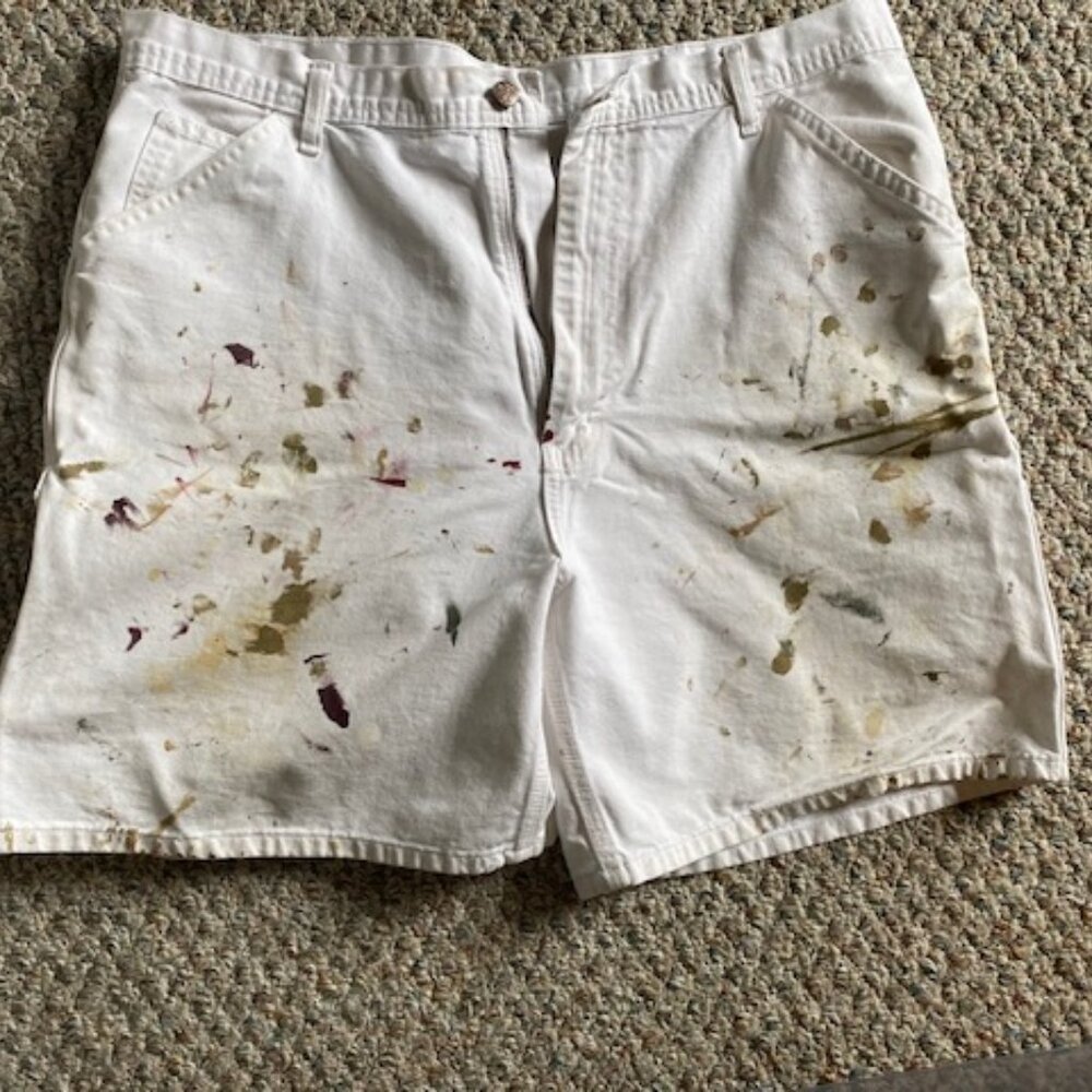 Vintage Painters Shorts